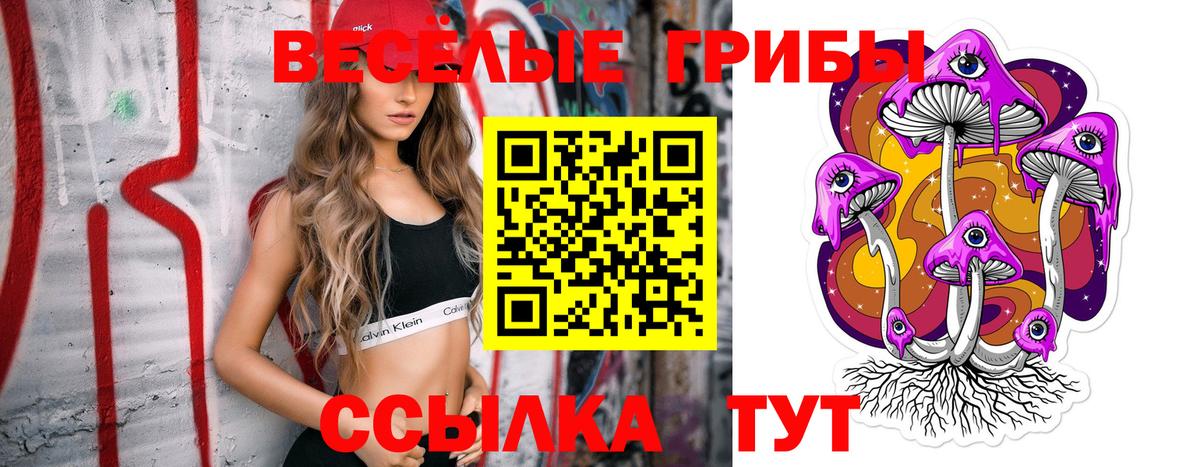 Славгород  Псилоцибиновые грибы Psilocybine cubensis  Вход с VPN 